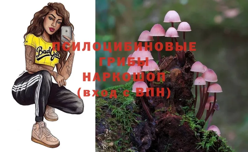 Псилоцибиновые грибы Psilocybe  Лангепас 